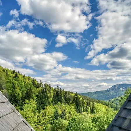 Krupowka Mountain Resort Szczyrk - Widokowy Hotel Z Basenami & Wellness 4* Szczyrk